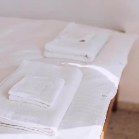 H&o Royal Townhouse In Center